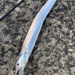 えー!タッチー‼︎