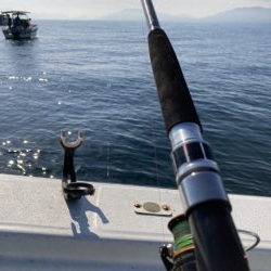 ヒラメ55センチハマチ70センチ