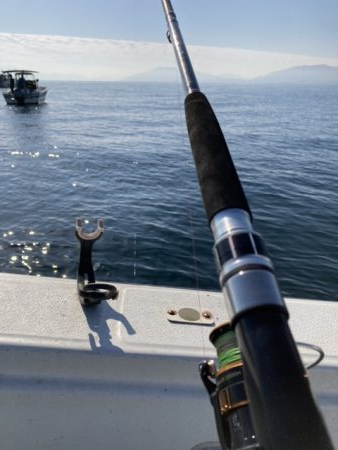 ヒラメ55センチハマチ70センチ