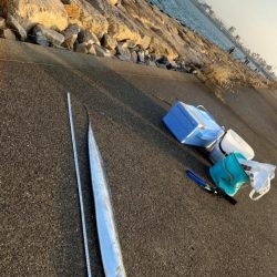 ドラゴンゲット!