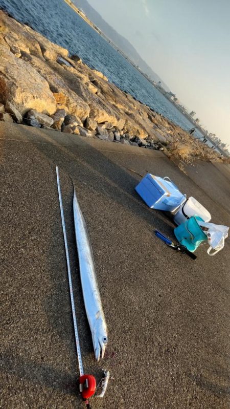 ドラゴンゲット!