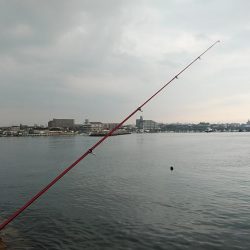 東二見のキス３連投
