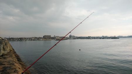 東二見のキス３連投