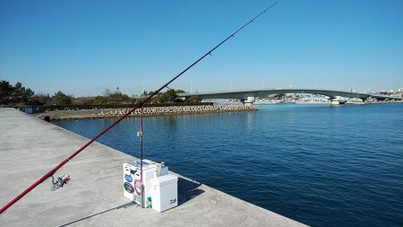 近場のキスが釣れなくなりました