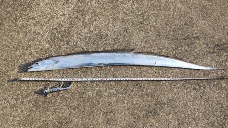 あたり渋い中、、、