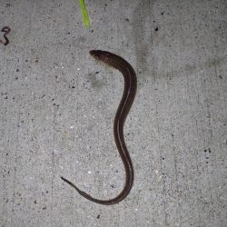 島に渡ってみました〜