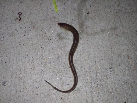 島に渡ってみました〜