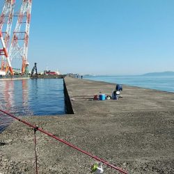 ラスト播磨新島釣行