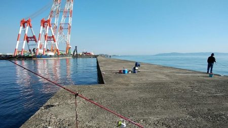 ラスト播磨新島釣行