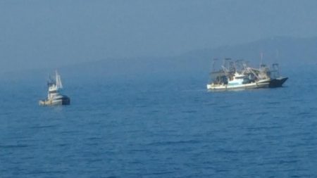 なんとかハマチ