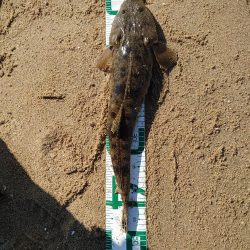 アタリが減ってきたかな