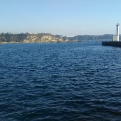 城ヶ島黒島堤防でのんびり小物五目釣り