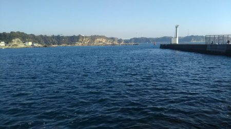 城ヶ島黒島堤防でのんびり小物五目釣り