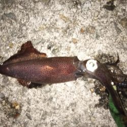 爆風ライトゲーム