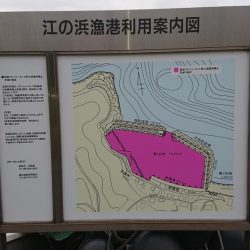 まだまだ青物ｫ～！