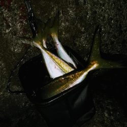 超スローリトリーブ