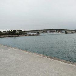 終盤を迎えた江井ヶ島のキス