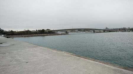 終盤を迎えた江井ヶ島のキス