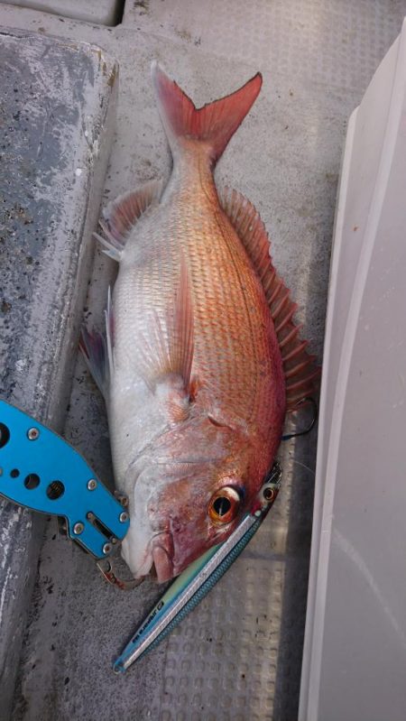 ジギング船内竿頭ゲット