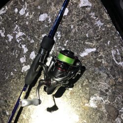 メジャーポイント メバリング