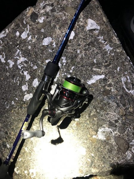 メジャーポイント メバリング