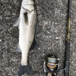 マイクロパターン