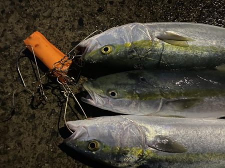 ほぼ入れ食い（笑）投げたら出る！