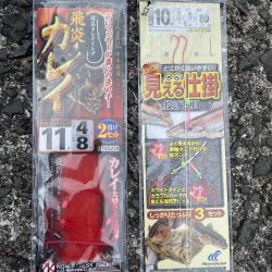 クリスマスカレイを狙いに