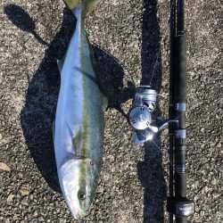 えっ、地震?速やかに帰宅しましょう。