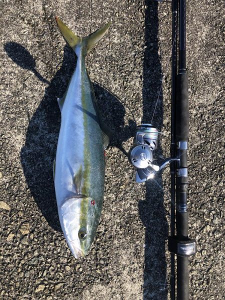 えっ、地震?速やかに帰宅しましょう。