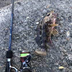 ポイントパニックメバリング