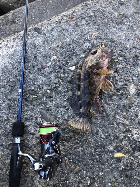 ポイントパニックメバリング