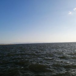 5度目の正直 今季初タチウオゲット!