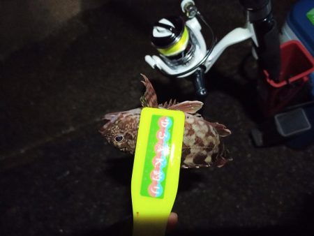 2021/12/6 南港アジング釣行～降雨前アジング