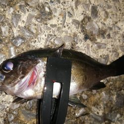 たまにはこんな日も