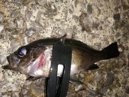 たまにはこんな日も