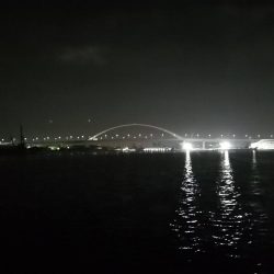 マイワシ湧いてます。タチウオは厳しい～