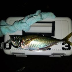 (尺アジ)フロートゲーム