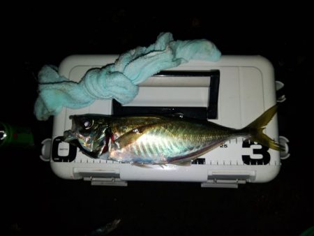 (尺アジ)フロートゲーム