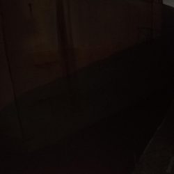 久々スズキ釣り