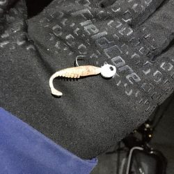 青森の冬といえば