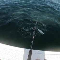 夫婦でジギング@白鶴丸