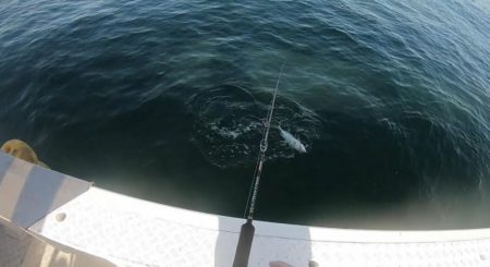 夫婦でジギング@白鶴丸