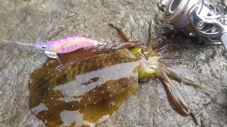 3回連続第1投目ヒット~⤴️