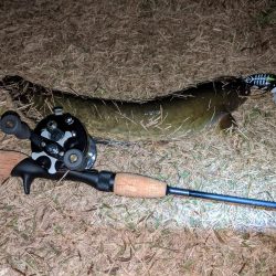 行けばわかるさ