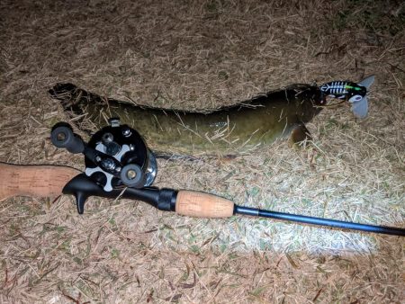 行けばわかるさ