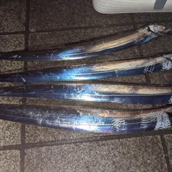 どじょうテンヤ強い