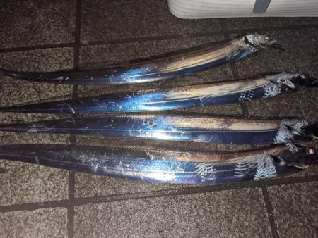 どじょうテンヤ強い