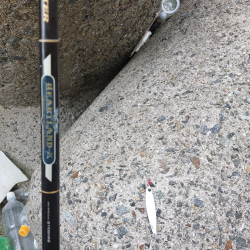 プチsalt water game