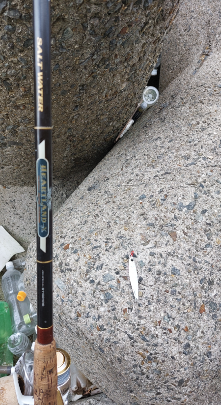 プチsalt water game